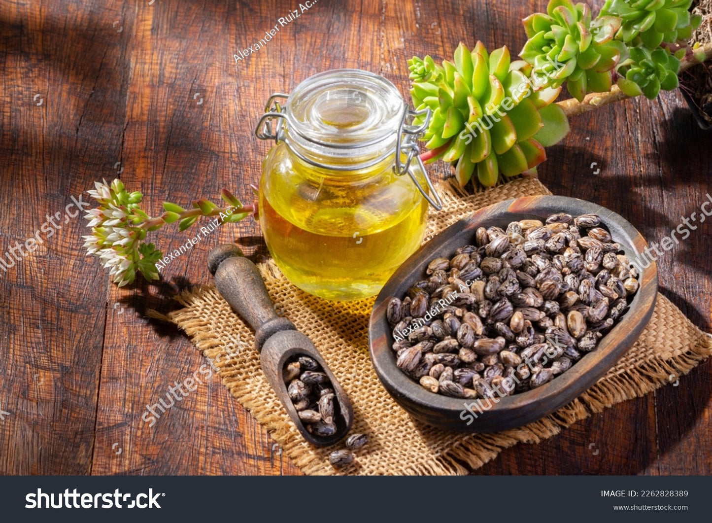 Castor Oil