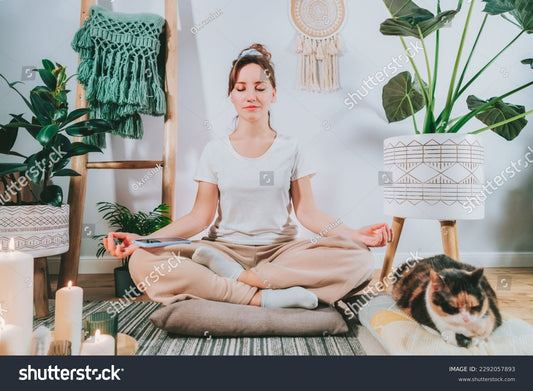 Meditation Cushion