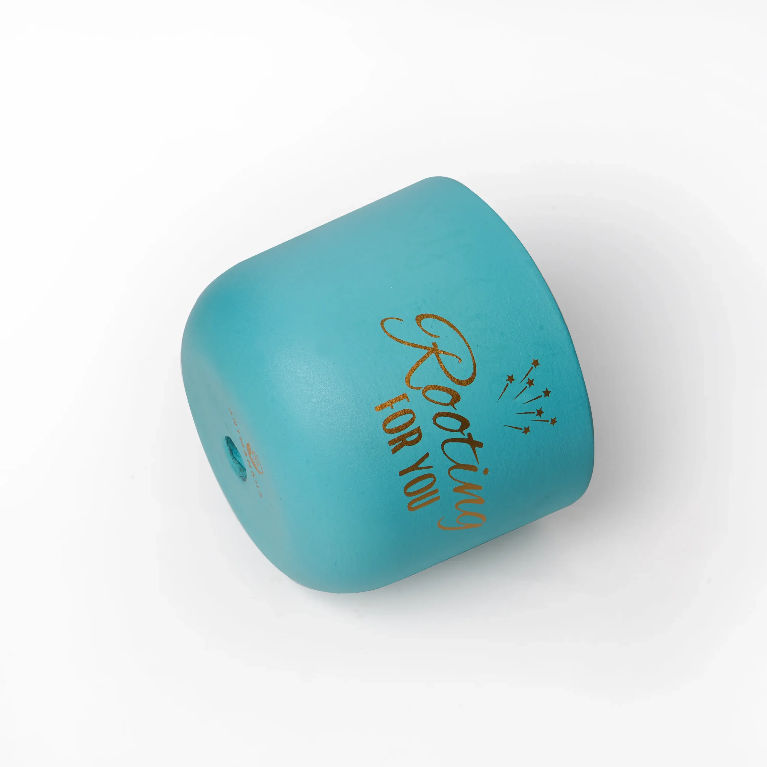 Handcrafted Quote Planter – Self Care / Stay Wild / Rooting for You | Motivational Terracotta Planters by Shivom Bliss - Image 8