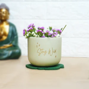Handcrafted Quote Planter – Self Care / Stay Wild / Rooting for You | Motivational Terracotta Planters by Shivom Bliss